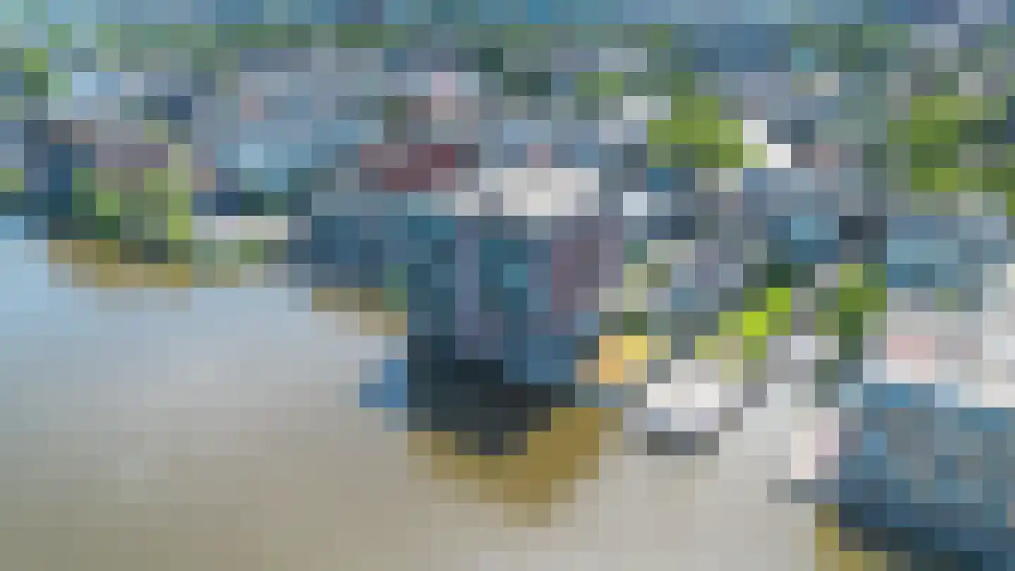 De Faam 8 Zaandam thumbnail 48