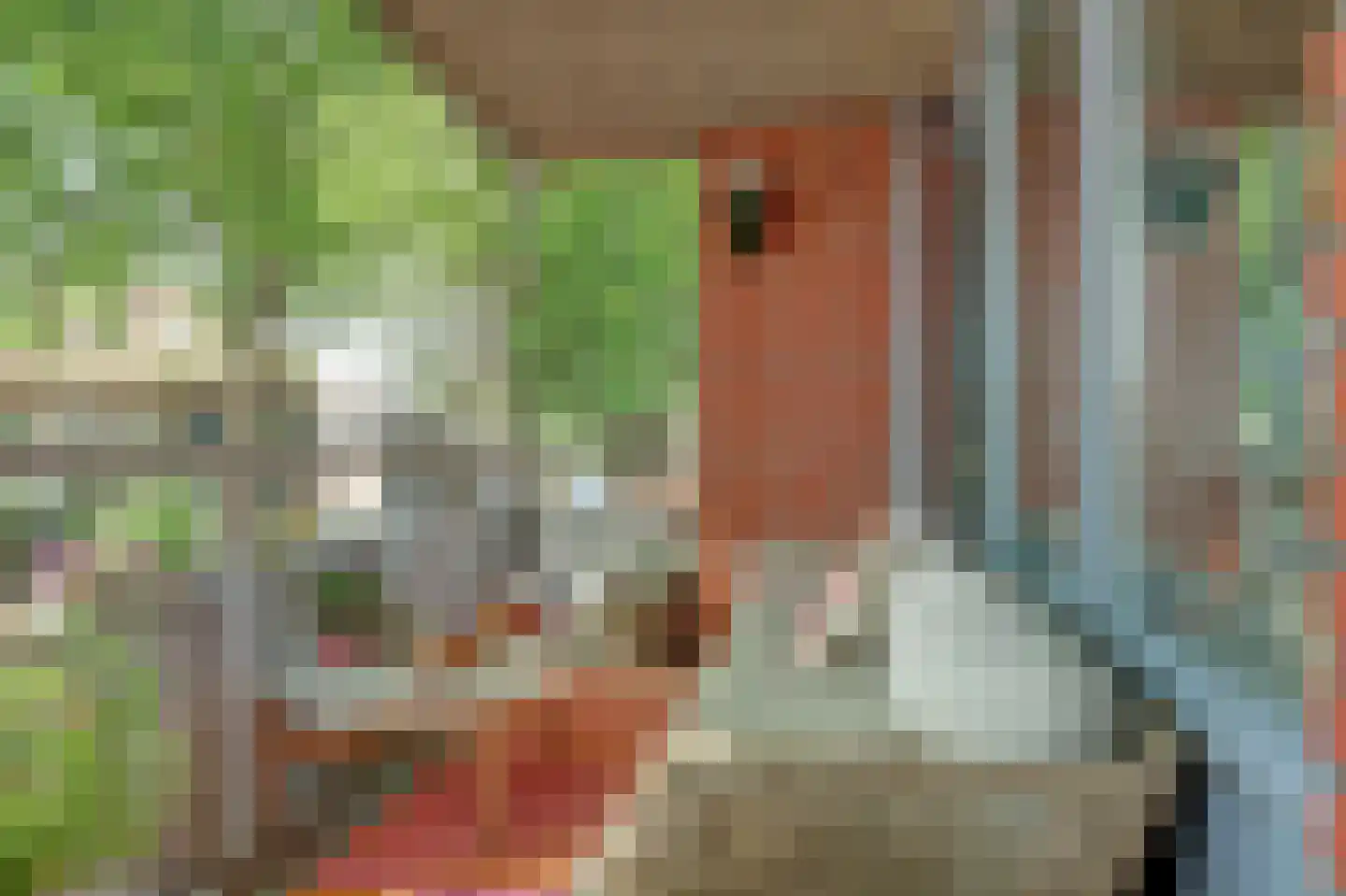 De Factorij 14 Zaandam thumbnail 22
