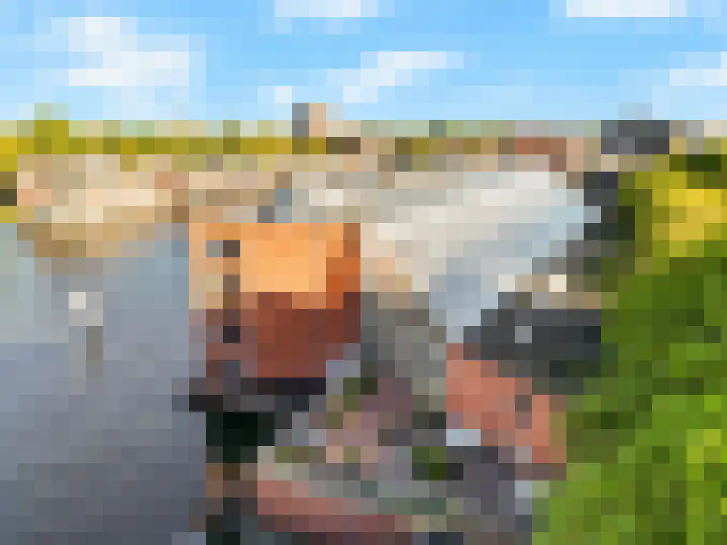 De Factorij 16 Zaandam thumbnail 10