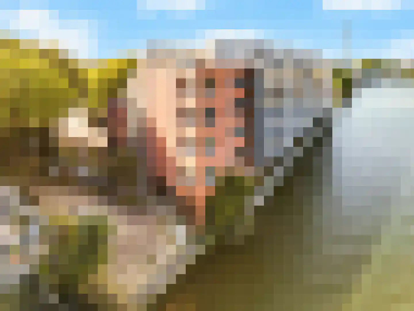 De Factorij 16 Zaandam thumbnail 11