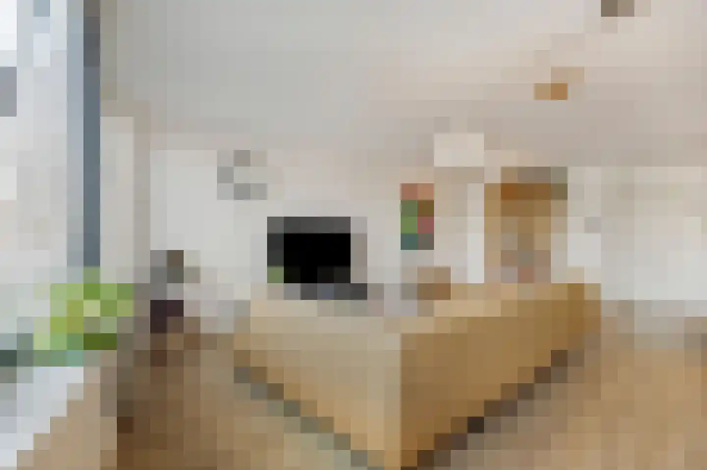 De Factorij 16 Zaandam thumbnail 28