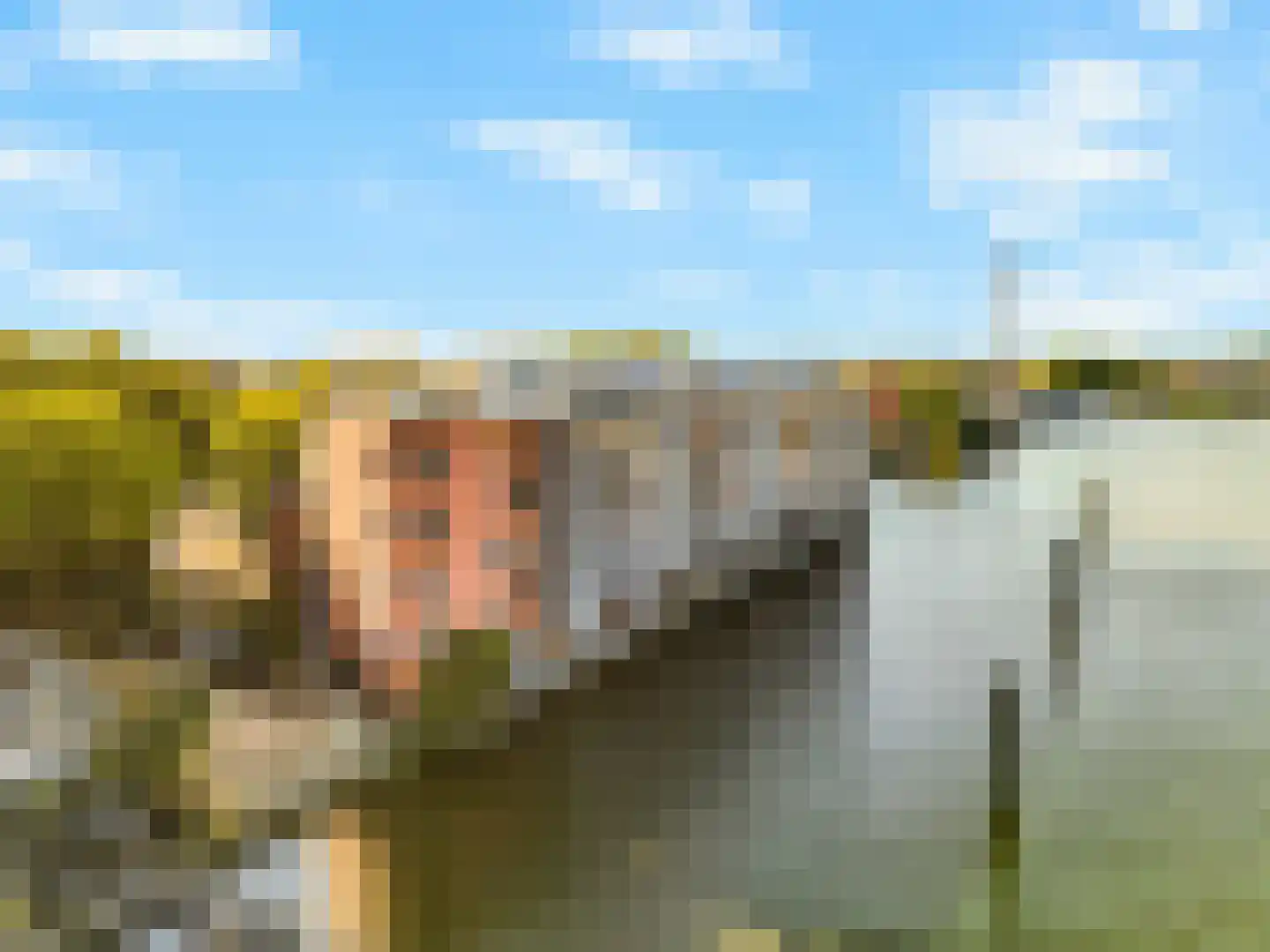 De Factorij 16 Zaandam thumbnail 62