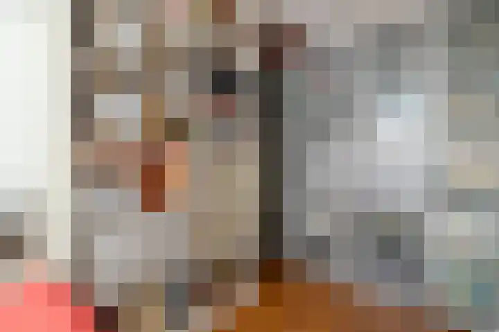 De Factorij 17 Zaandam thumbnail 20