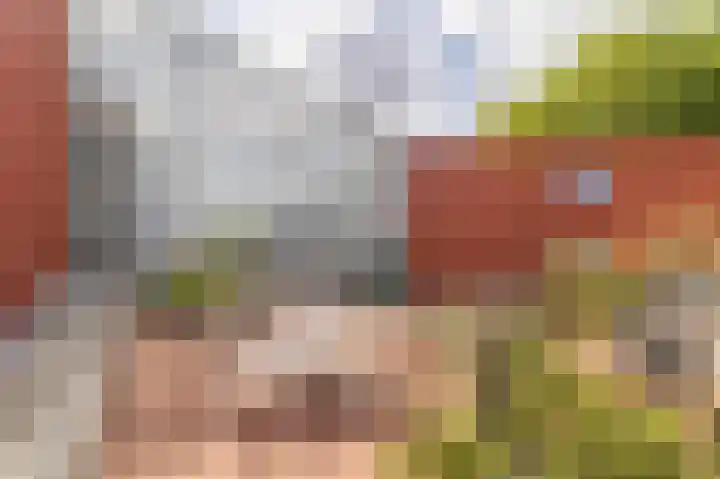 De Factorij 17 Zaandam thumbnail 30