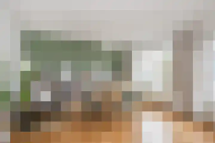 De Factorij 27 Zaandam thumbnail 18