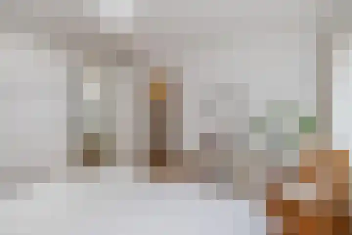 De Factorij 27 Zaandam thumbnail 22
