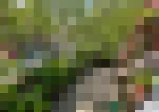 De Factorij 27 Zaandam thumbnail 26