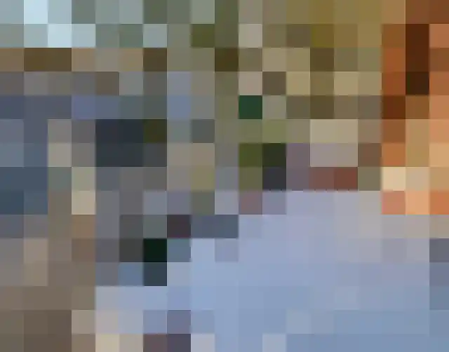 De Factorij 27 Zaandam thumbnail 30