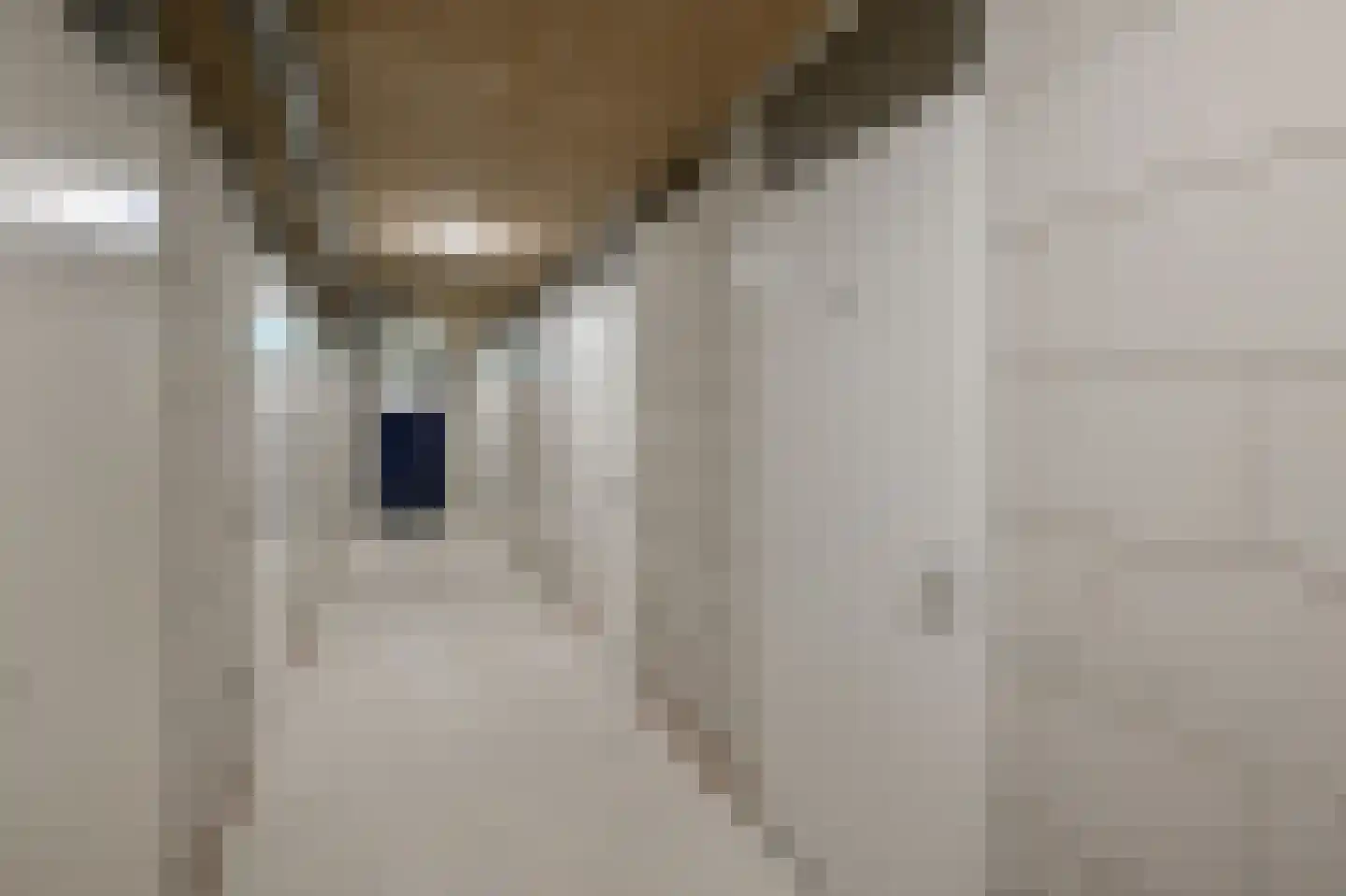 De Factorij 31 Zaandam thumbnail 25