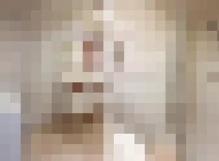 De Factorij 36 Zaandam