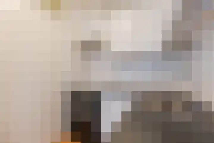 De Factorij 36 Zaandam thumbnail 21