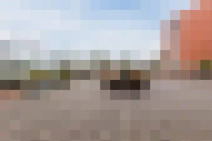De Factorij 36 Zaandam thumbnail 39