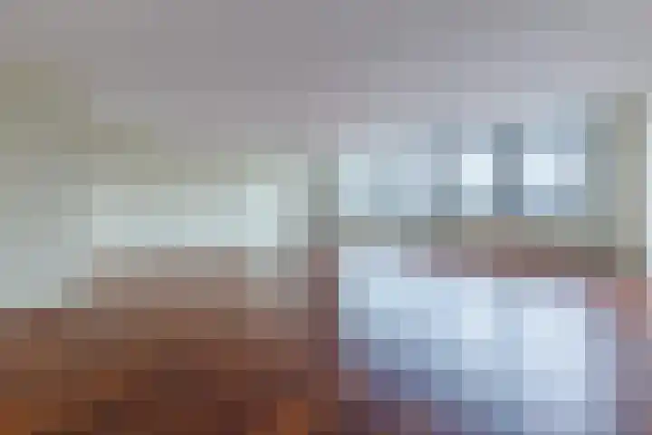 De Factorij 36 Zaandam thumbnail 4