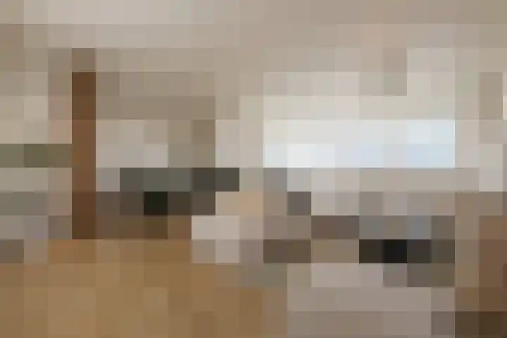 De Factorij 36 Zaandam thumbnail 5