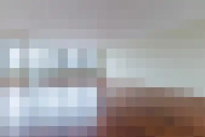 De Factorij 36 Zaandam thumbnail 6