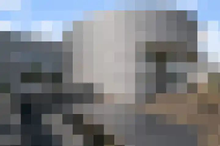 De Factorij 51 Zaandam thumbnail 28