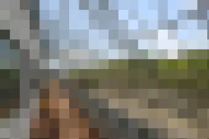 De Factorij 51 Zaandam thumbnail 37