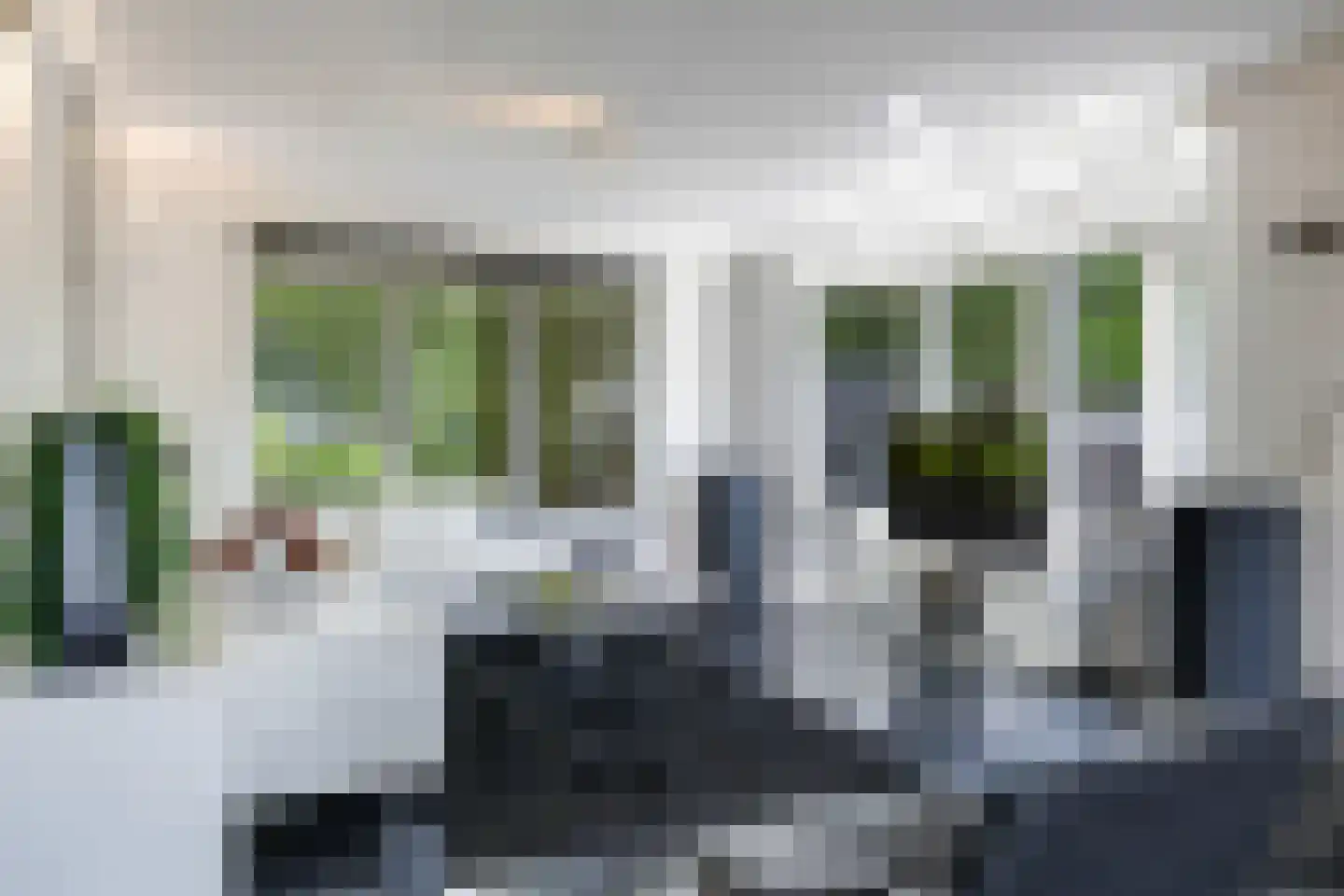 De Fanfare 1 Duiven thumbnail 15