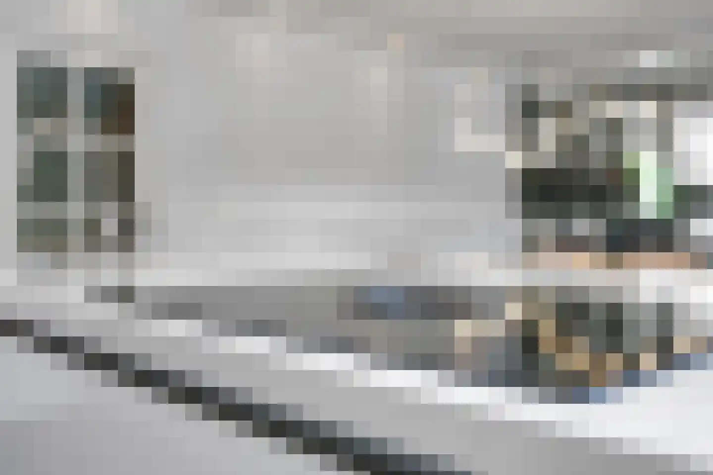 De Fanfare 1 Duiven thumbnail 30