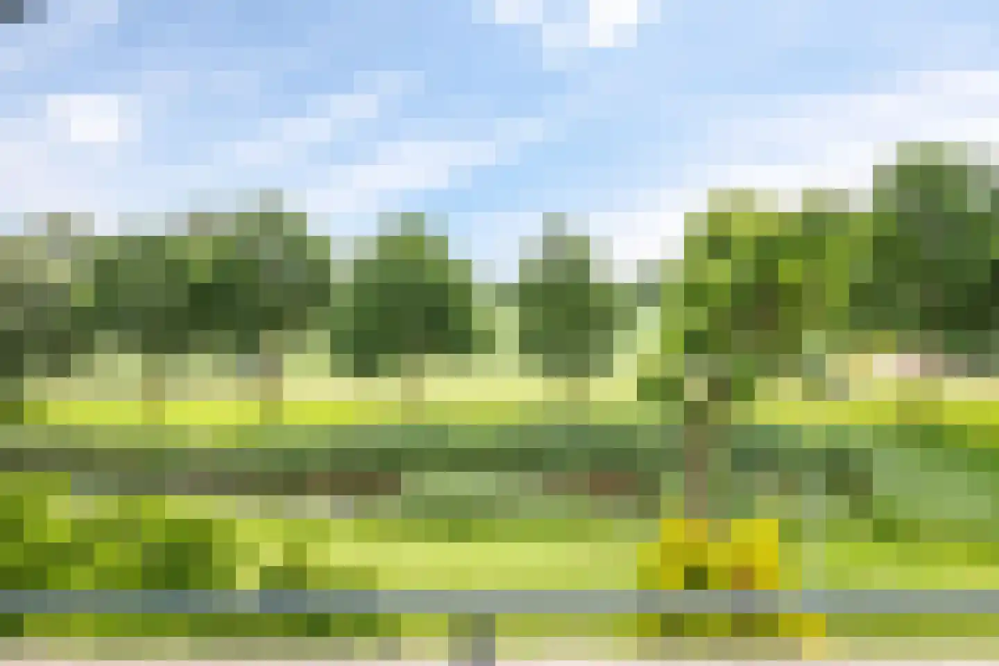 De Fanfare 1 Duiven thumbnail 64