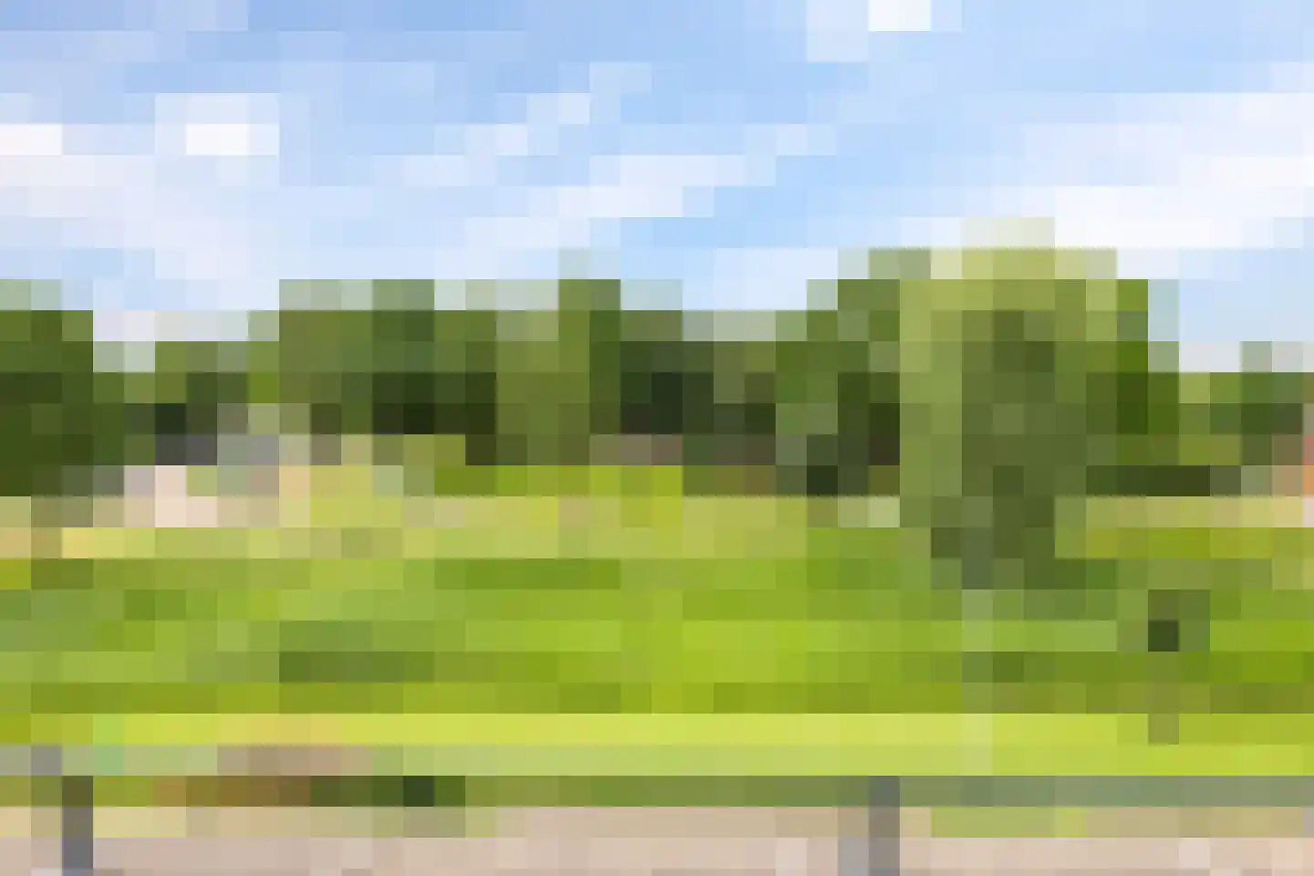 De Fanfare 1 Duiven thumbnail 67