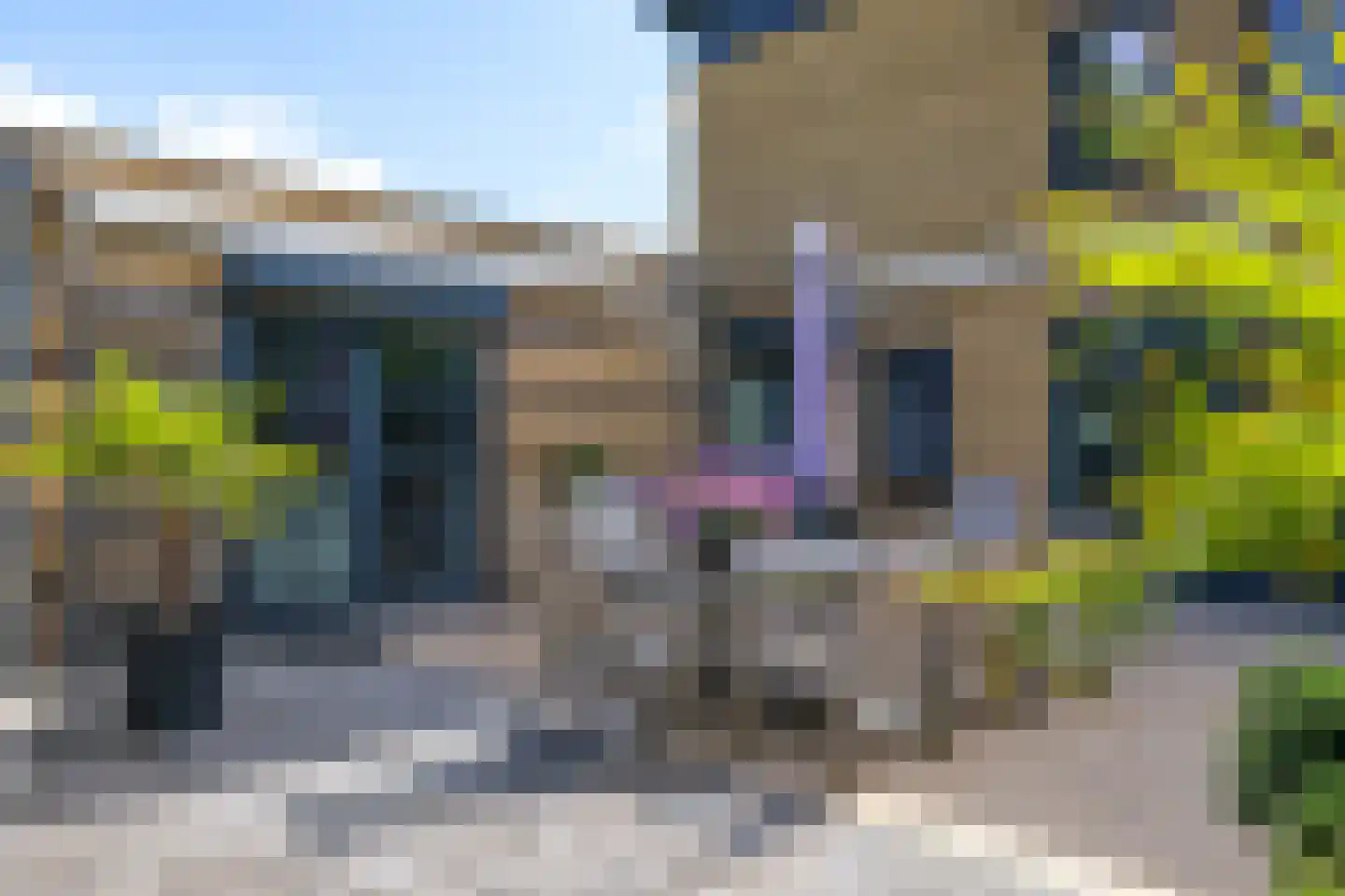 De Fanfare 1 Duiven thumbnail 72