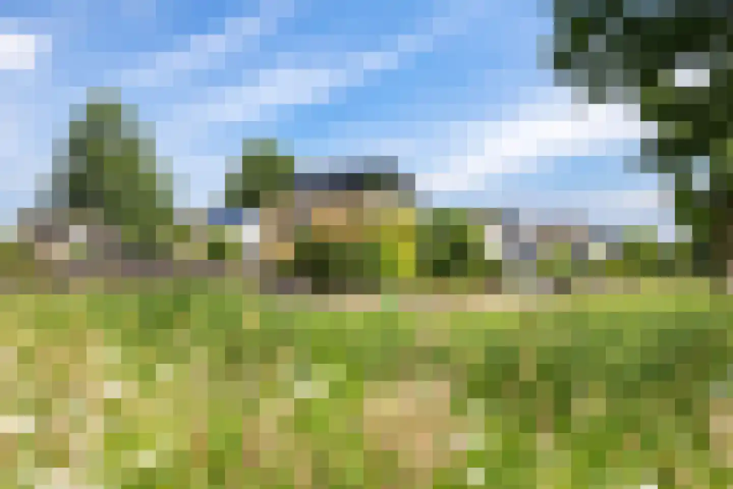 De Fanfare 1 Duiven thumbnail 8