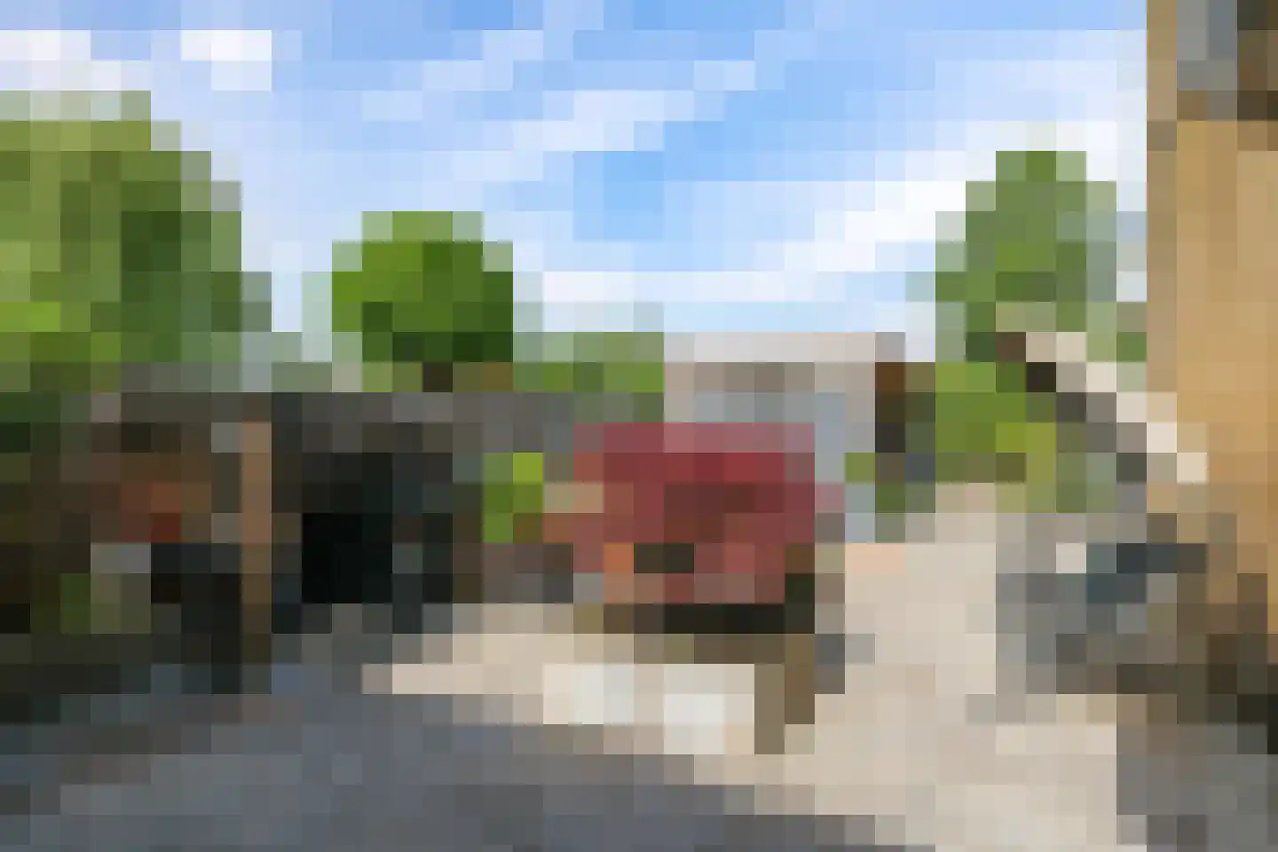 De Fanfare 1 Duiven thumbnail 84
