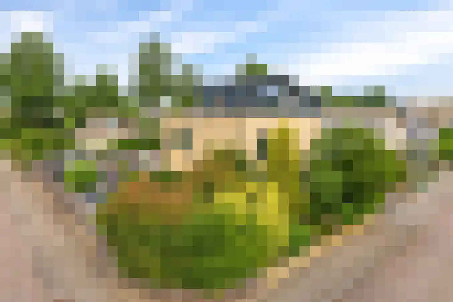 De Fanfare 1 Duiven thumbnail 92