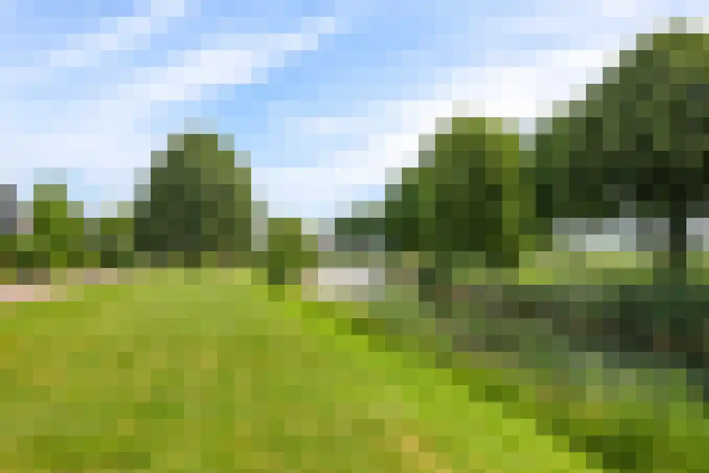 De Fanfare 1 Duiven thumbnail 98
