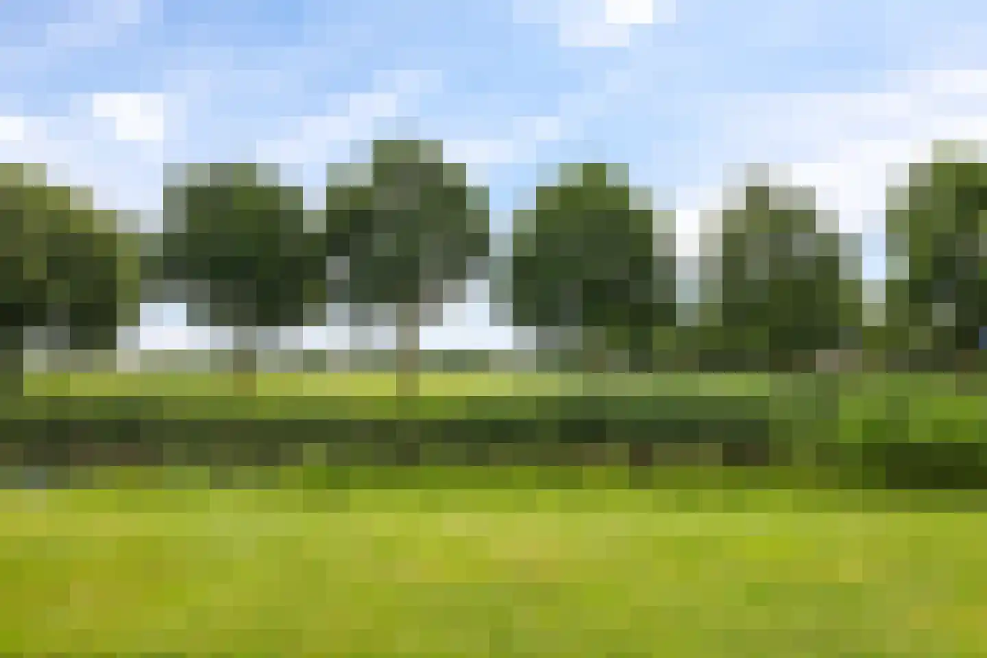 De Fanfare 1 Duiven thumbnail 99