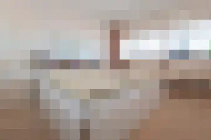 de Favaugeplein 21 F 52 Zandvoort thumbnail 15