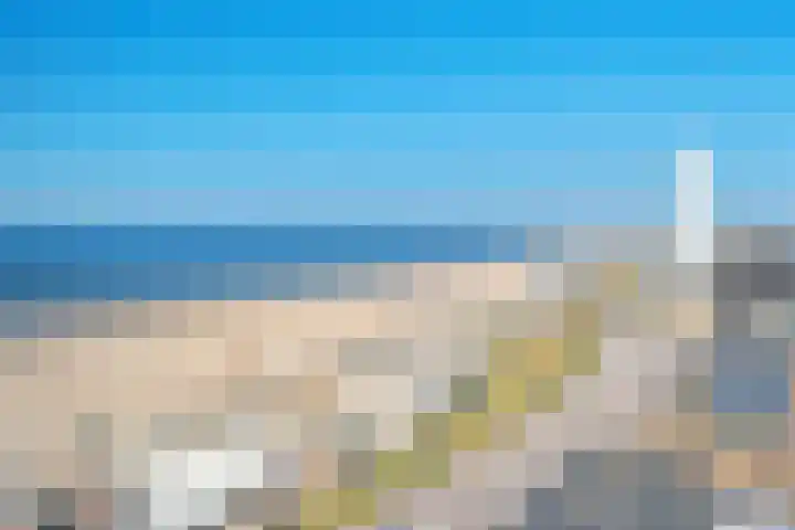 de Favaugeplein 21 F 52 Zandvoort thumbnail 17