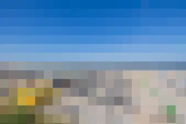 de Favaugeplein 21 F 62 Zandvoort thumbnail 22