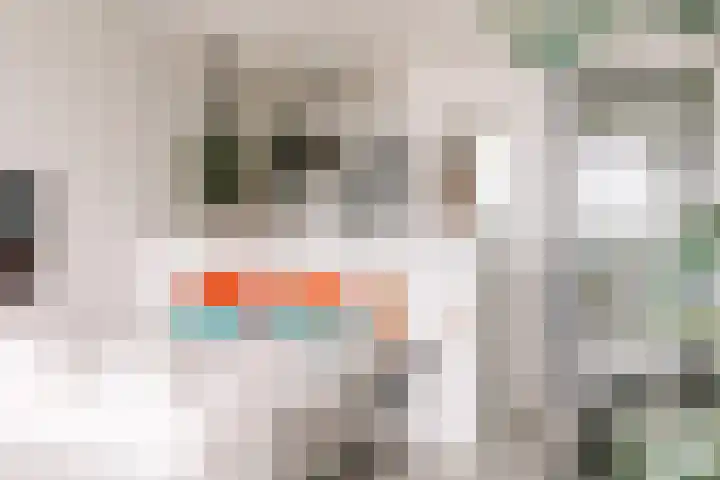 de Favaugeplein 21 F 62 Zandvoort thumbnail 5