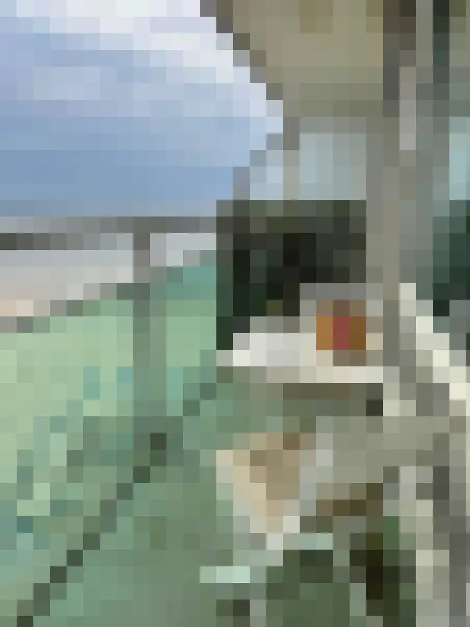 de Favaugeplein 21 F 65 Zandvoort thumbnail 7