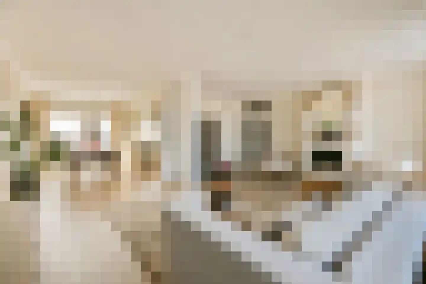 de Favaugeplein 61 a Zandvoort thumbnail 11
