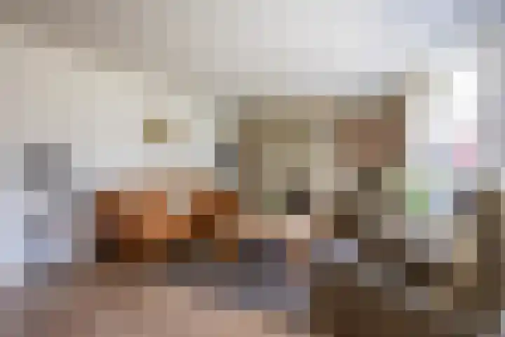 De Fazant 10 Vroomshoop thumbnail 11