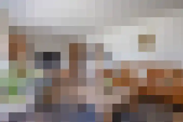 De Fazant 10 Vroomshoop thumbnail 12