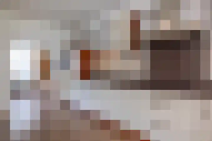 De Fazant 10 Vroomshoop thumbnail 14