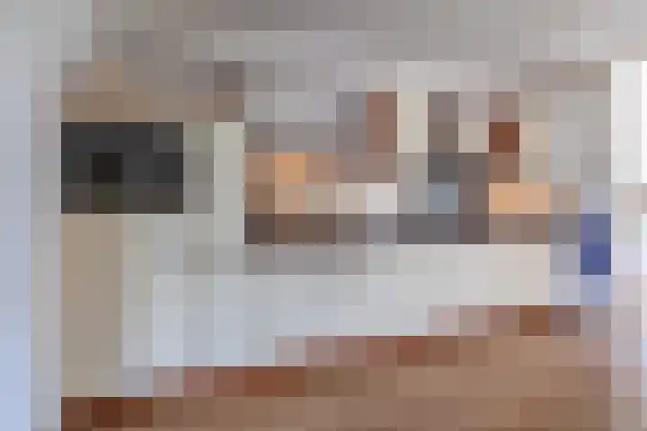 De Fazant 10 Vroomshoop thumbnail 15