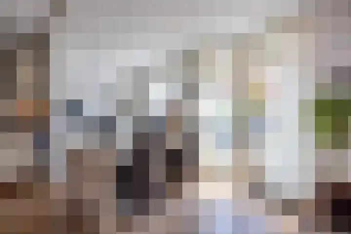 De Fazant 10 Vroomshoop thumbnail 17