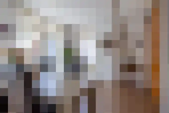 De Fazant 10 Vroomshoop thumbnail 18