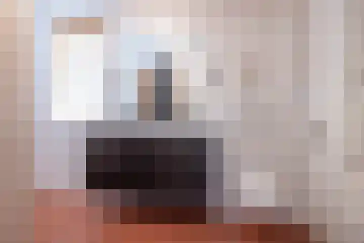 De Fazant 10 Vroomshoop thumbnail 19