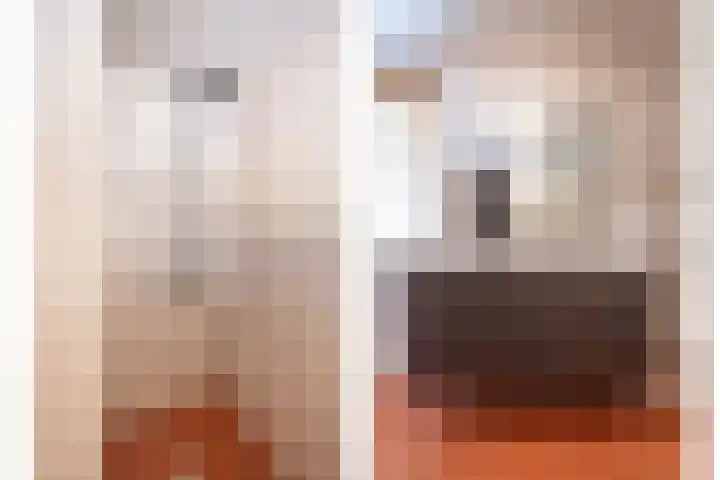 De Fazant 10 Vroomshoop thumbnail 21