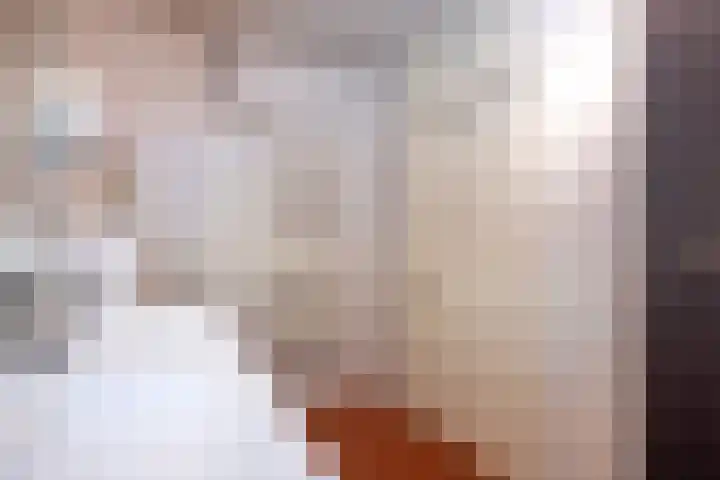 De Fazant 10 Vroomshoop thumbnail 22