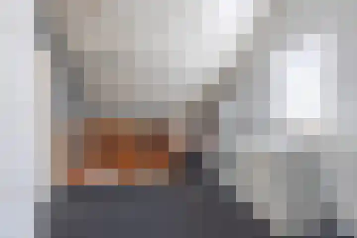 De Fazant 10 Vroomshoop thumbnail 23