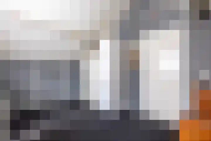 De Fazant 10 Vroomshoop thumbnail 24