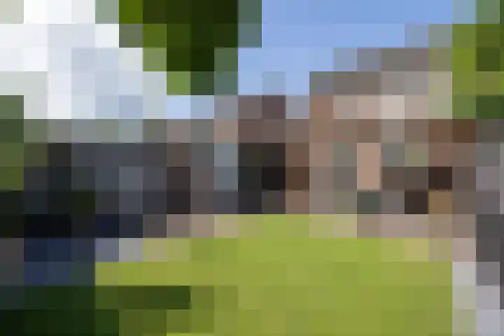 De Fazant 10 Vroomshoop thumbnail 27
