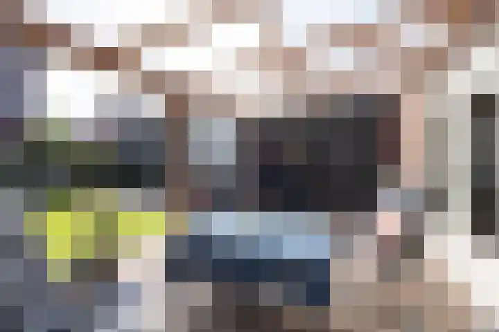 De Fazant 10 Vroomshoop thumbnail 30